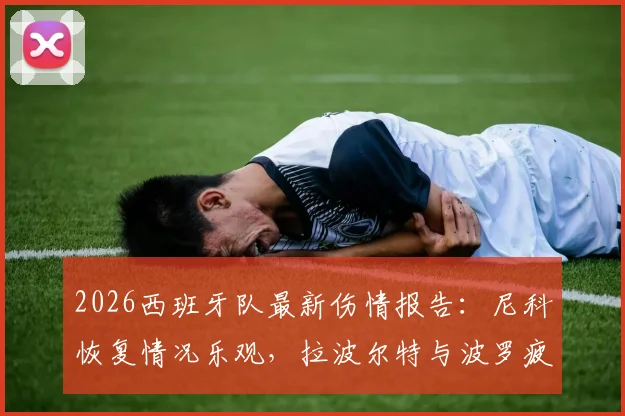 2026西班牙队最新伤情报告：尼科恢复情况乐观，拉波尔特与波罗疲劳管理成关键