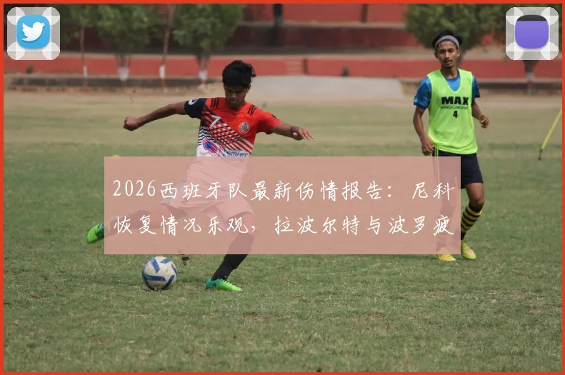 2026西班牙队最新伤情报告：尼科恢复情况乐观，拉波尔特与波罗疲劳管理成关键